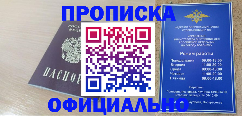 прописка в квартире в Кольчугино